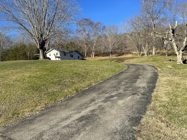 view of street with driveway