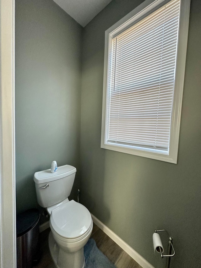 bathroom featuring toilet and wood-type flooring