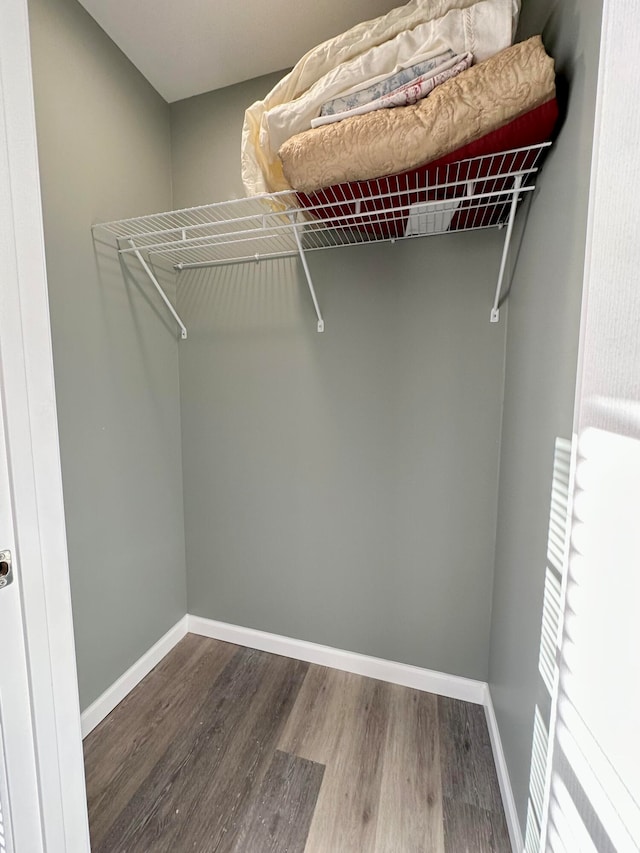 spacious closet with hardwood / wood-style flooring