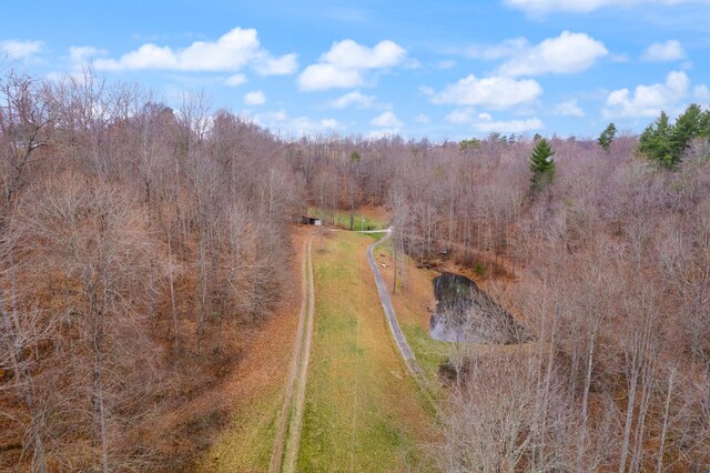 bird's eye view