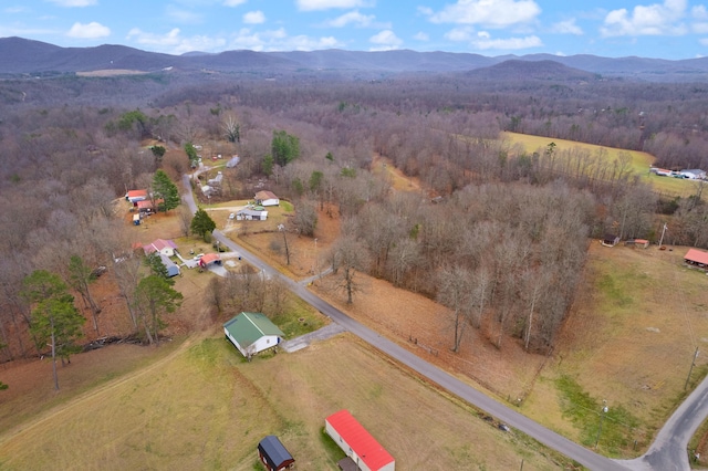 bird's eye view featuring a mountain view