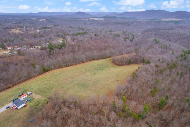 drone / aerial view featuring a mountain view