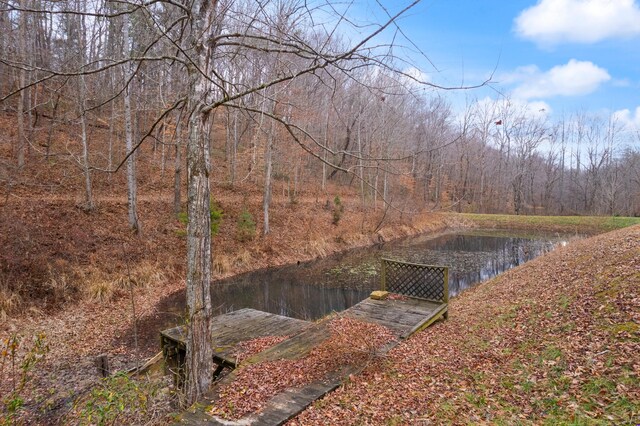 view of yard featuring a water view