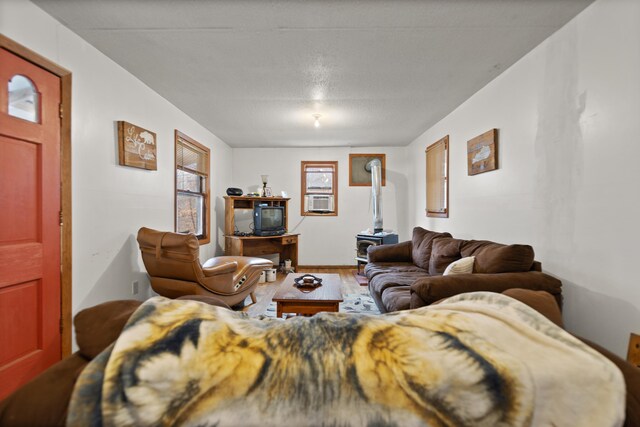 living room featuring hardwood / wood-style floors and a wood stove