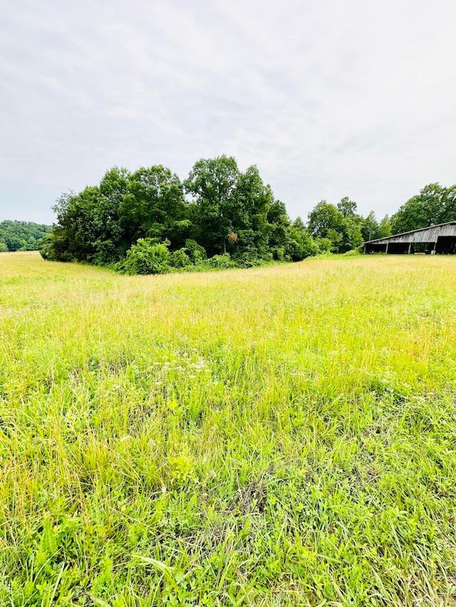 view of nature with a rural view