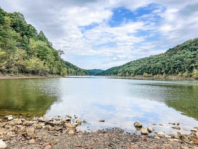 view of water view