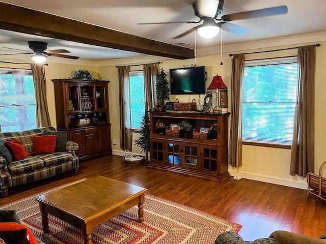 living room featuring ceiling fan, beam ceiling, and dark wood-type flooring