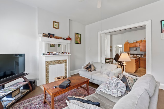 living room with a fireplace and light hardwood / wood-style flooring