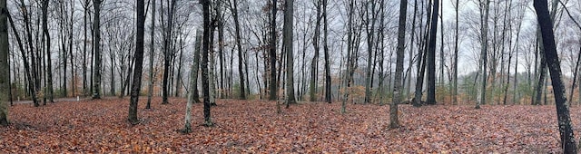 Listing photo 2 for LOT87 Stillwater, Russell Springs KY 42642