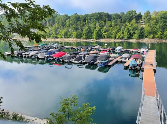 view of dock featuring a water view