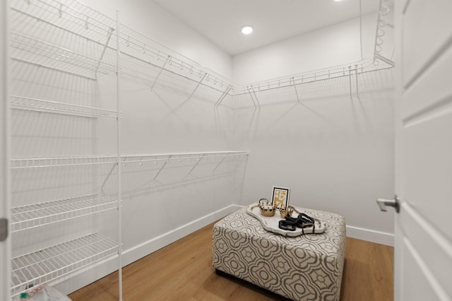 spacious closet with wood-type flooring