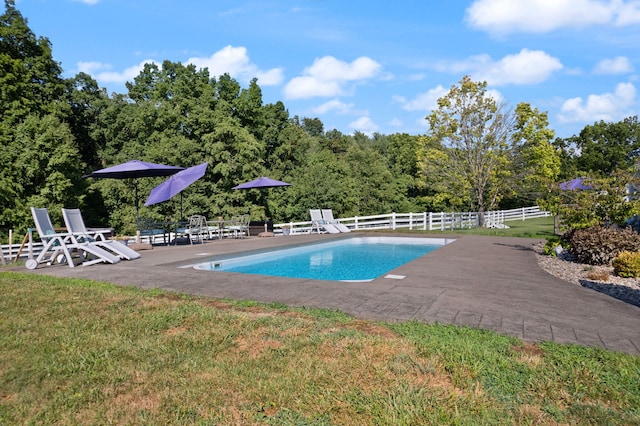 view of pool with a yard and a patio