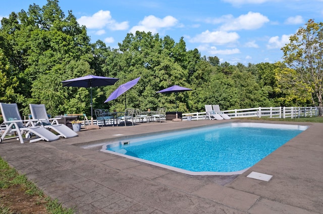 view of swimming pool with a patio