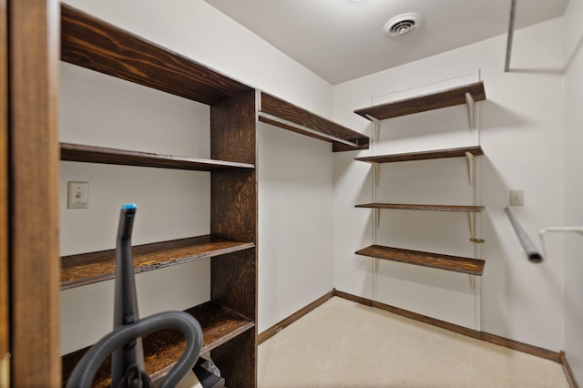 spacious closet featuring carpet floors