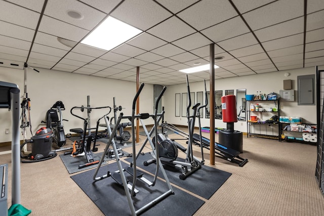 workout area with electric panel, a paneled ceiling, and carpet