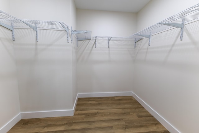 spacious closet with dark wood-type flooring