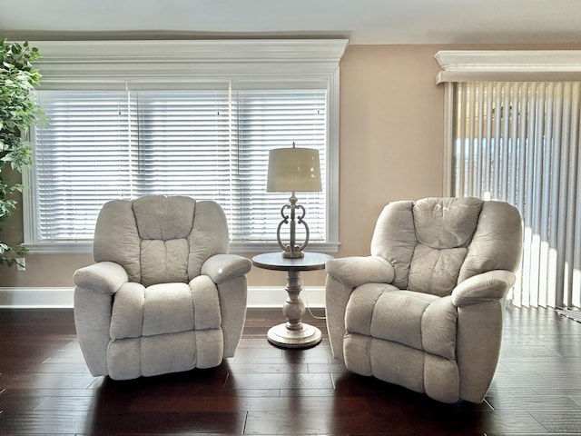 living area featuring dark hardwood / wood-style floors