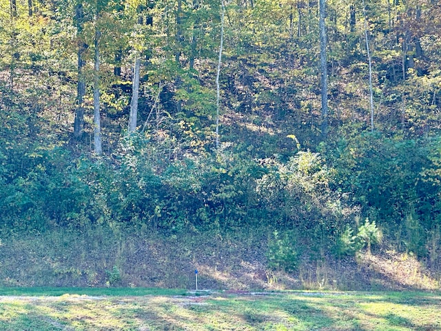 Listing photo 3 for LOT44-45 Freeman Branch Rd, East Bernstadt KY 40729