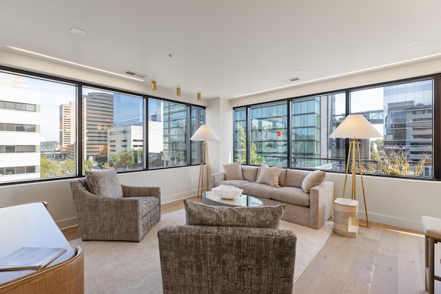 living room with light hardwood / wood-style floors and a healthy amount of sunlight