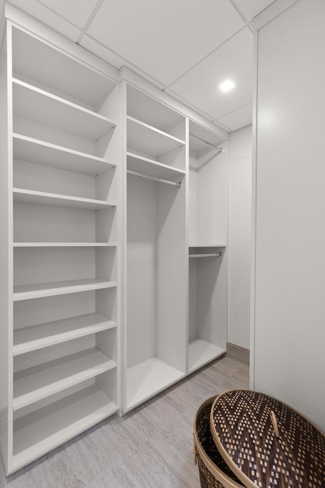 spacious closet featuring a drop ceiling and light hardwood / wood-style flooring