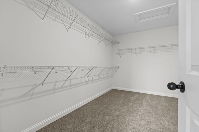 walk in closet featuring carpet flooring