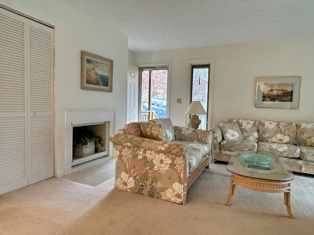 46-1 Woodson Bend Resort, Bronston, KY 42518 - view of carpeted living room