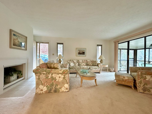 46-1 Woodson Bend Resort, Bronston, KY 42518 - carpeted living area featuring a healthy amount of sunlight