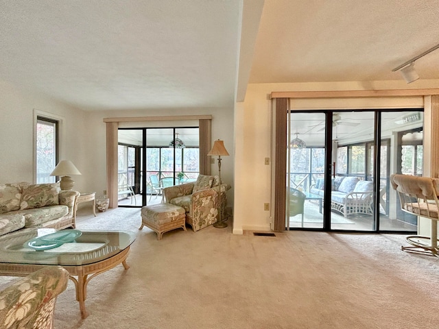 46-1 Woodson Bend Resort, Bronston, KY 42518 - carpeted living area featuring rail lighting and a textured ceiling