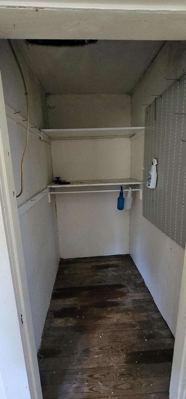 walk in closet featuring dark hardwood / wood-style floors