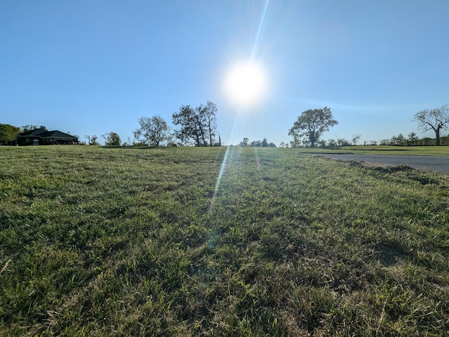 Listing photo 3 for LOT23 Freestone Way, Lawrenceburg KY 40342