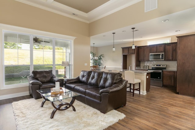 living room with a raised ceiling, ornamental molding, and dark hardwood / wood-style floors