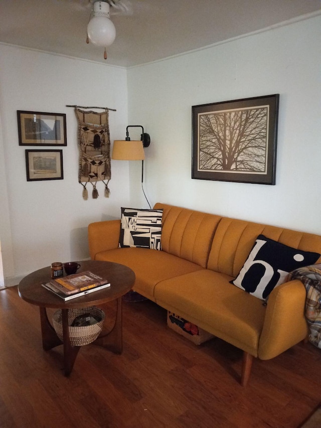 living area featuring a ceiling fan and wood finished floors