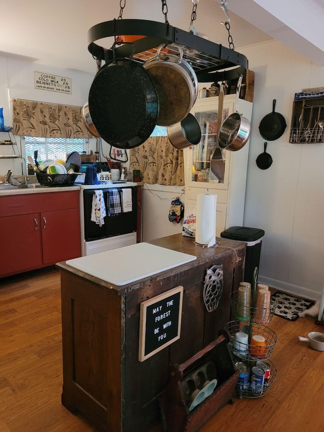 kitchen featuring a sink and wood finished floors