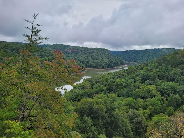 property view of mountains featuring a water view and a view of trees