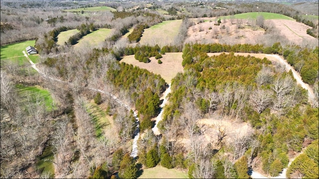 view of drone / aerial view