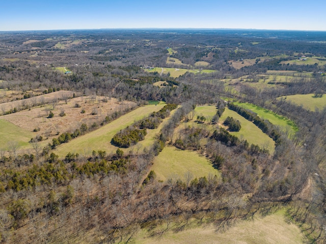 view of drone / aerial view