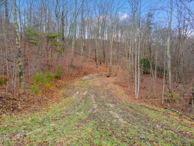 1237D High Rock Rd, Stanton KY, 40380 land for sale