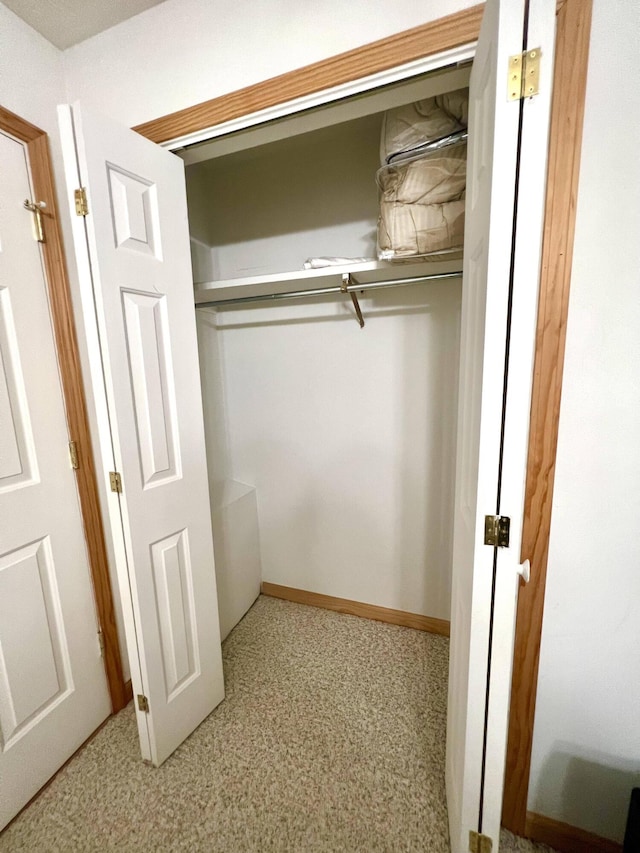 view of closet