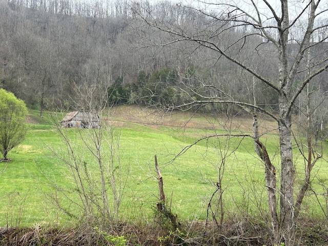 58 Deer Creek Trl, Martin KY, 41649 land for sale