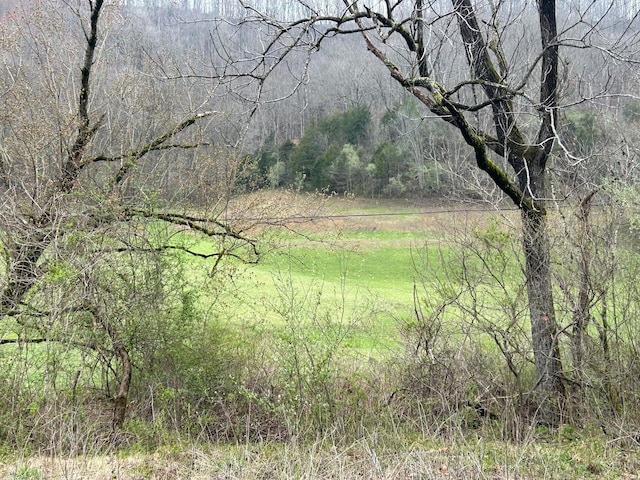 Listing photo 2 for 58 Deer Creek Trl, Martin KY 41649