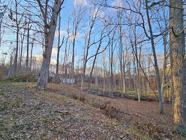 view of mother earth's splendor