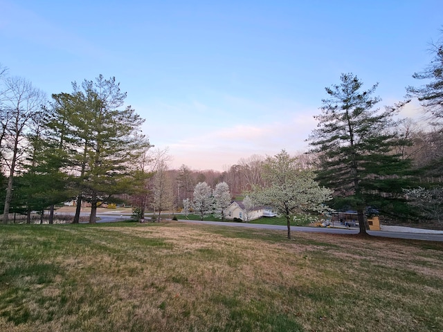 surrounding community featuring a lawn