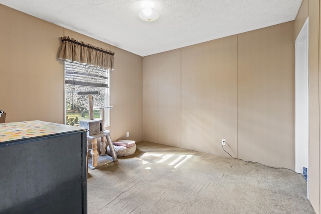 bedroom featuring light colored carpet and a textured ceiling