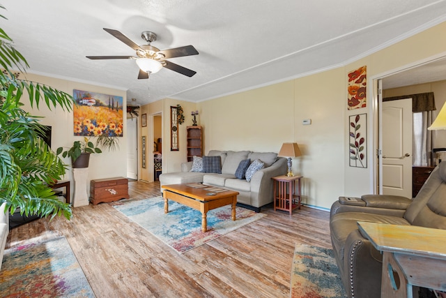 living room with ornamental molding, ceiling fan, and light wood-type flooring