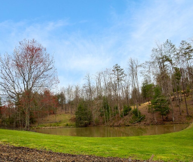 view of yard featuring a water view