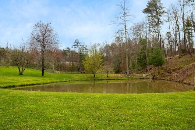 view of water feature