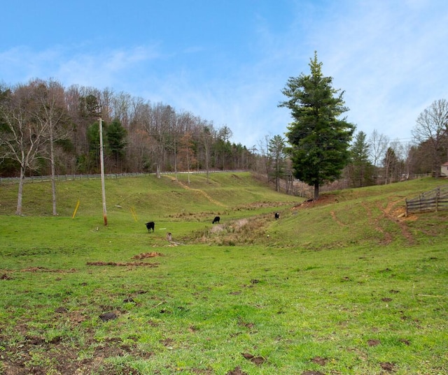 view of yard with a rural view