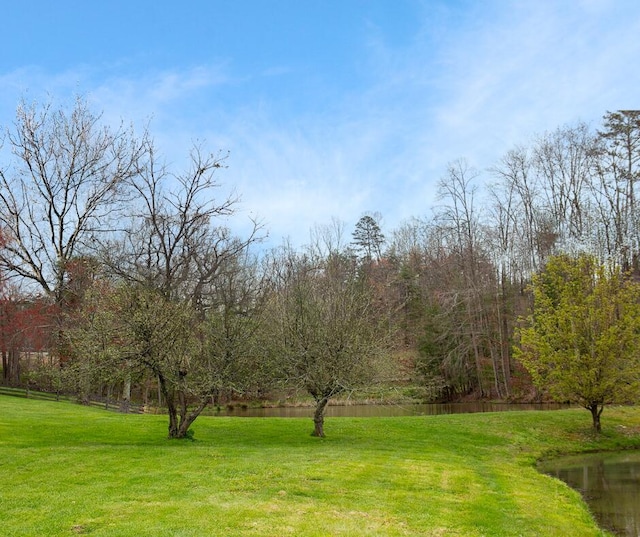 view of yard with a water view