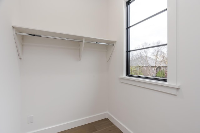 2420 Flying Ebony Dr, Lexington, KY 40509 - walk in closet featuring dark wood-style floors