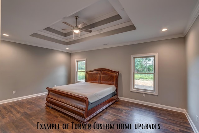 bedroom featuring dark hardwood / wood-style flooring, multiple windows, ceiling fan, and a raised ceiling